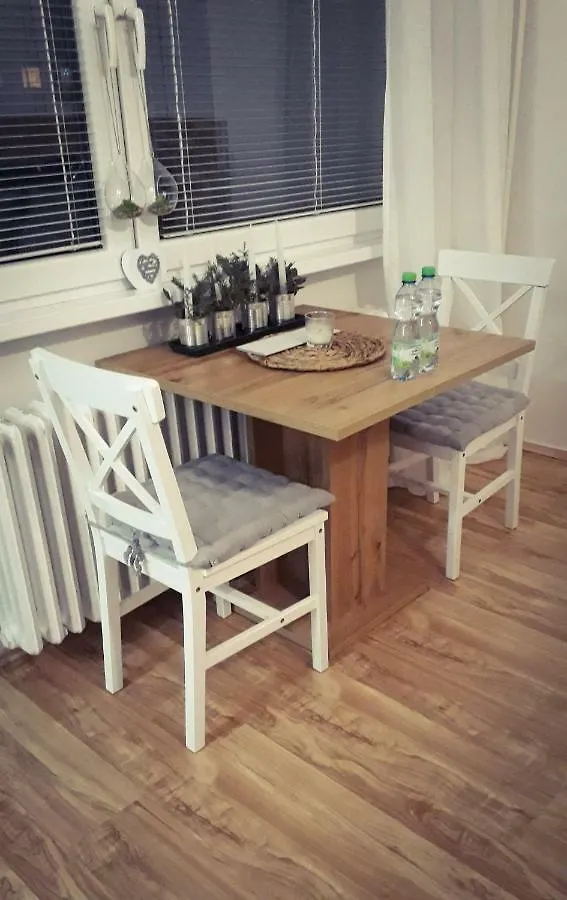 Apartman Lucie 파르두비체 체코